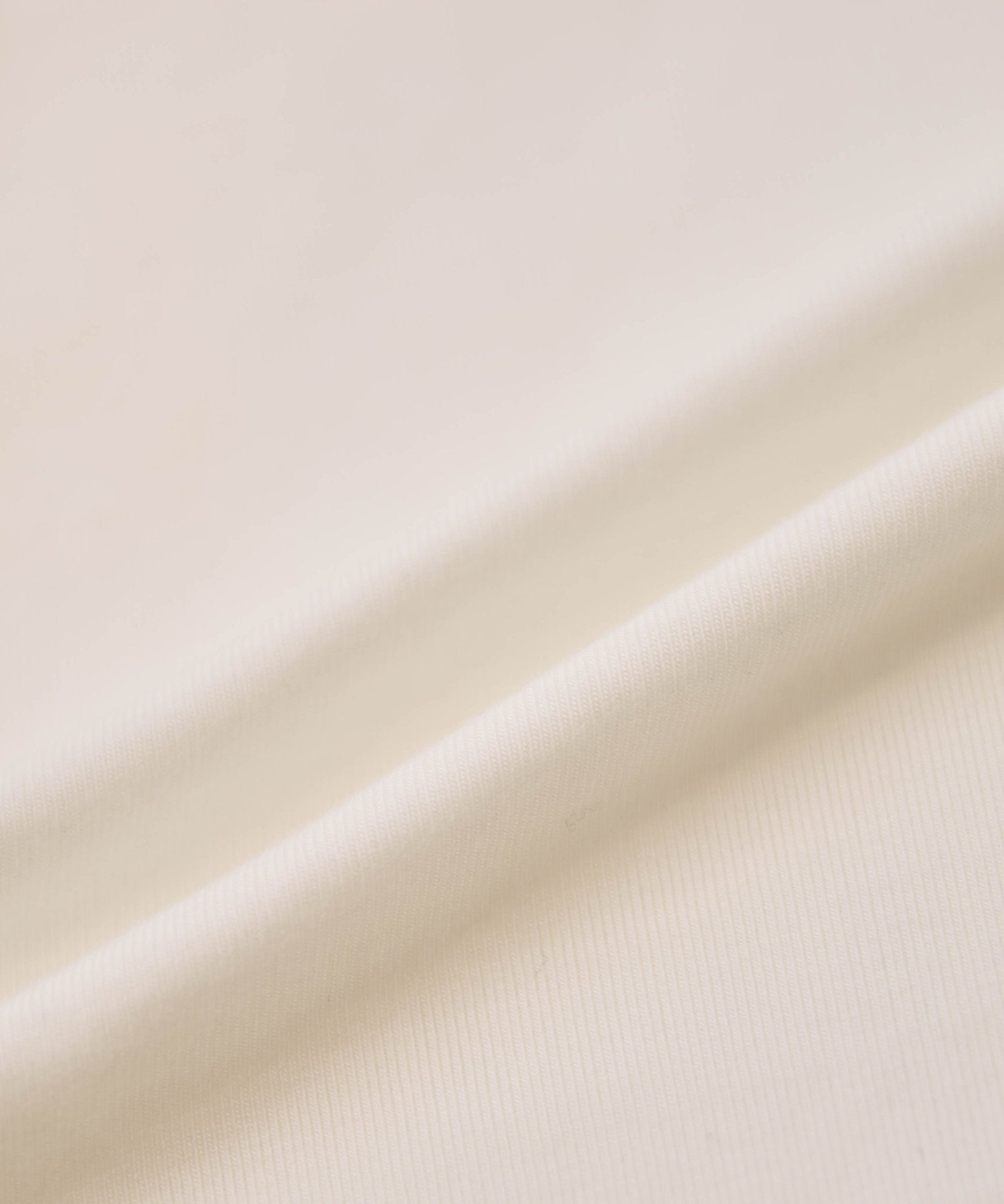 ベアフライスタートルネック